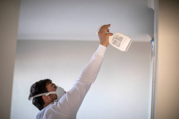 Best Residential Mold Removal  in Morrisville, VT