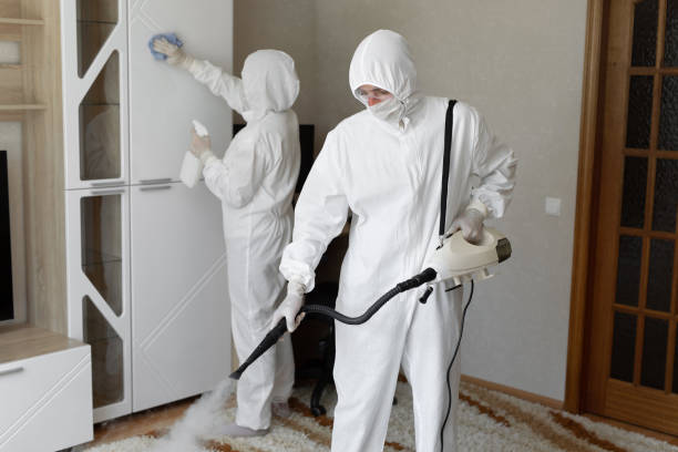 Best Certified Mold Removal  in Morrisville, VT