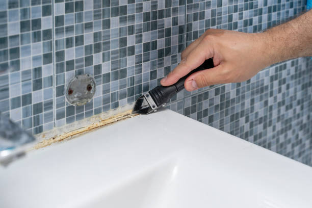 Best Mold Damage Repair  in Morrisville, VT