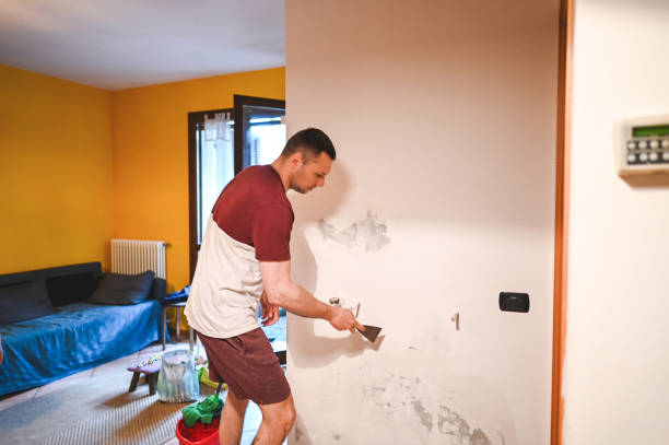 Best Professional Mold Removal  in Morrisville, VT
