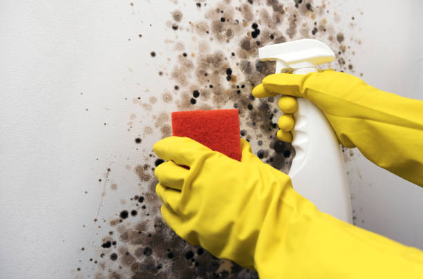 Water Damage Restoration in Morrisville, VT